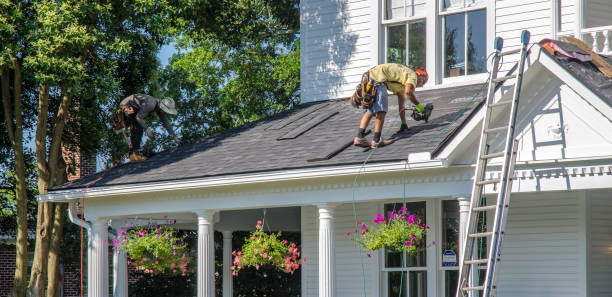 Best Storm Damage Roof Repair  in Lenoir City, TN